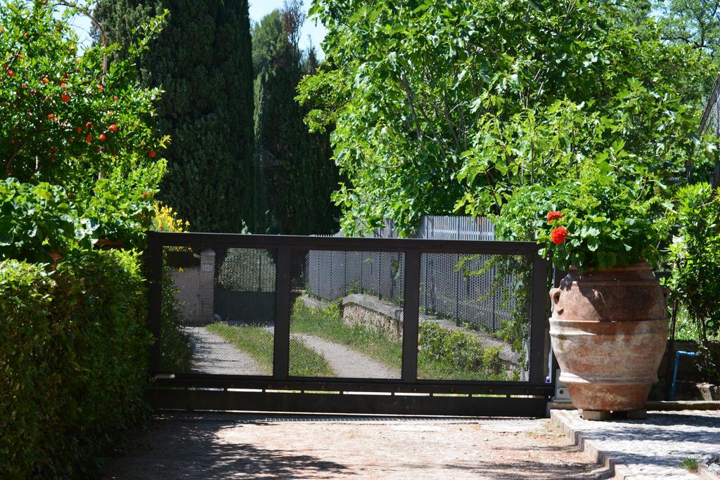B&B Il Giovine カンペッロ・スル・クリトゥンノ エクステリア 写真